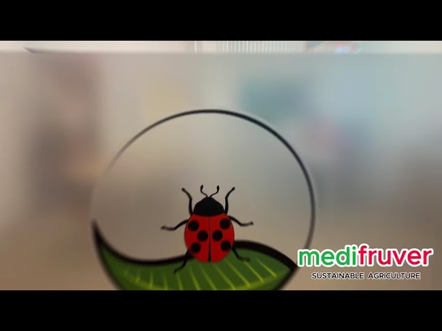 medifruver