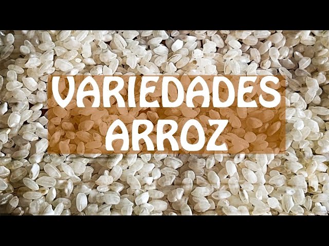 mejor marca arroz para paella