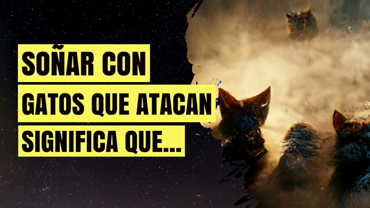 soñar con gatos q te atacan